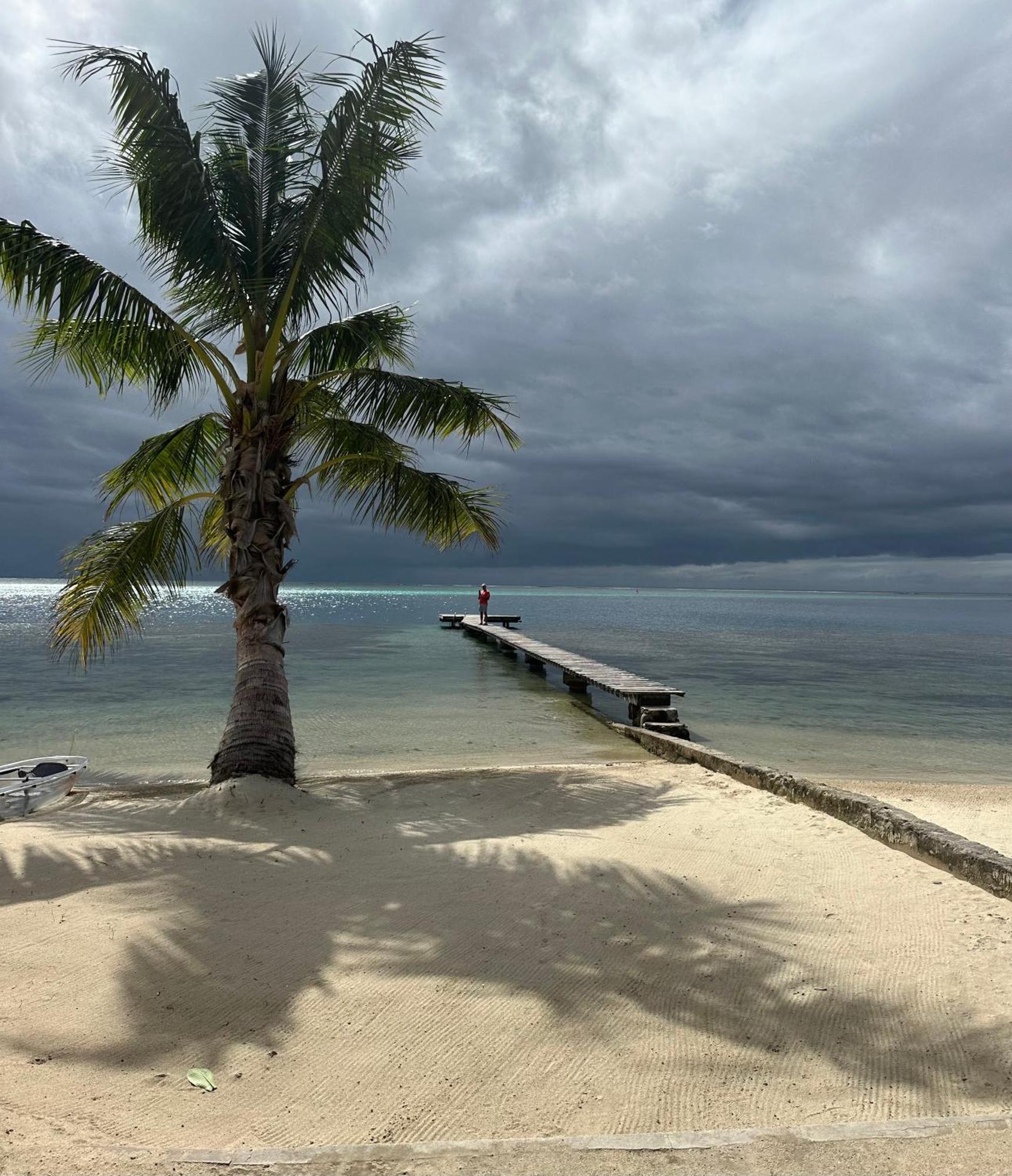 Maharepa Chez Jay Moorea Beach House别墅 外观 照片